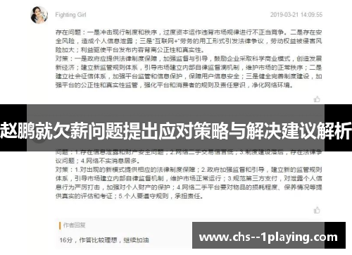 赵鹏就欠薪问题提出应对策略与解决建议解析 赵鹏就欠薪问题提出应对策略与解决建议解析