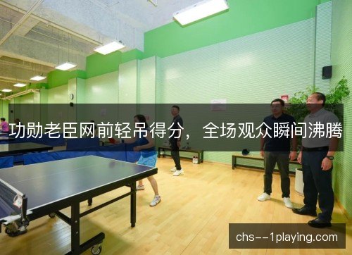 功勋老臣网前轻吊得分,全场观众瞬间沸腾 功勋老臣网前轻吊得分,全场观众瞬间沸腾